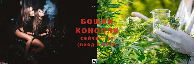 где можно купить наркотик  Короча  Каннабис LSD WEED 